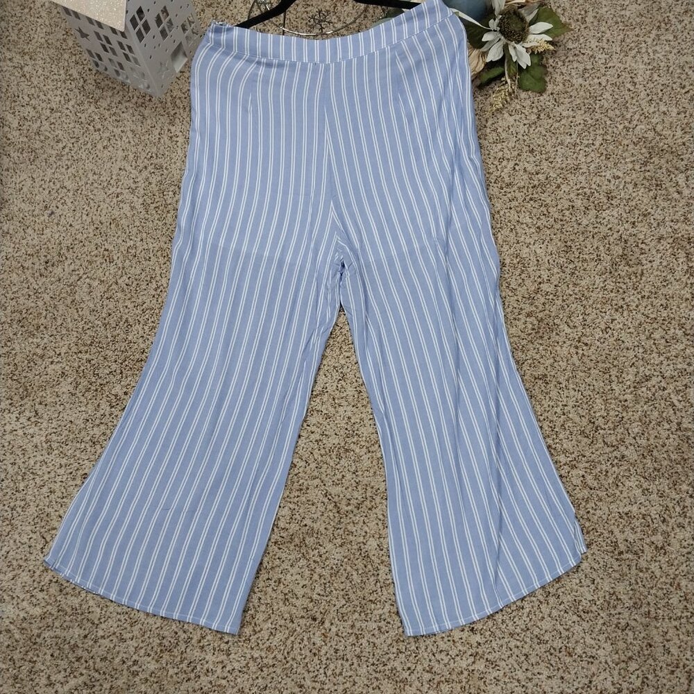 3526 Size Large Lumiere Blue Stripe Pants with Side Zipper and Shorts Lining.NWT - Picture 4 of 6